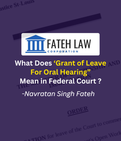 Understanding the Stages of Judicial Review in Federal Court Immigration Matters